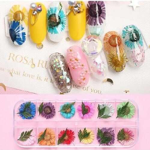 12 colors fresh natural dried flowers UV Gel Nail Art Polish Tips Jewelry Decoration natural chrysanthemum flowers green leaf