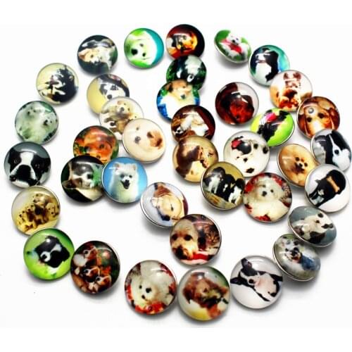 Hot selling 12pcs/lot glass 18mm snap buttons dog leather clasp snap button bracelet snap Bangles jewelry