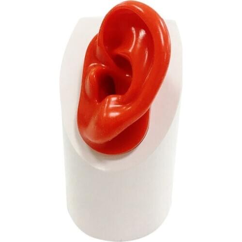 Hearing Aid Display Stand with Silicone Ear for Hearing Aids IEMs Jewelry Exhibition
