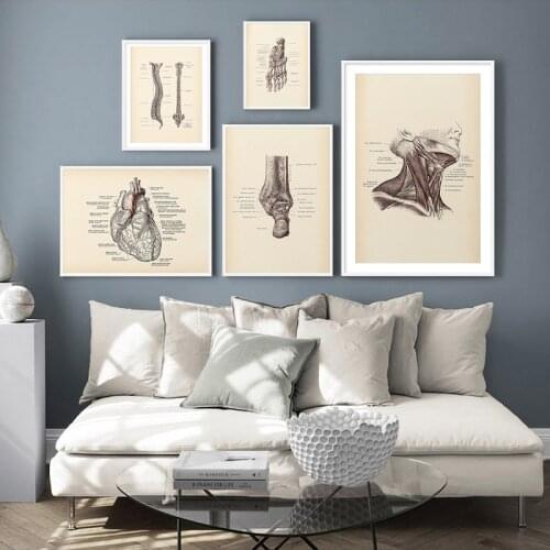 The Body Structure Vintage Human Anatomical Heart Spinal Poster Medical Art Antique Painting Decoration Pictures Wall Stickers
