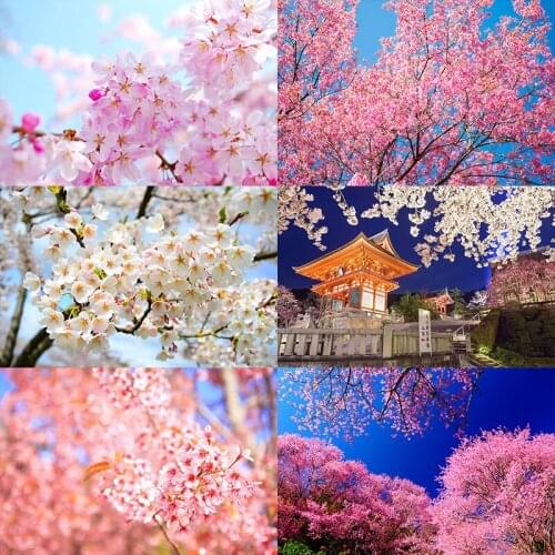 Cherry Tree wooden puzzles Cerasus sp jigsaw puzzle 1000 pieces adult difficult Unzip educational toys Creative custom gift