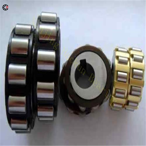 TRANS double row eccentric bearing TRANS61011