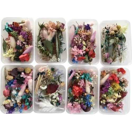 Natural Dried Flower DIY Kit Pressed Artwork Leaves Herb Epoxy Resin Jewelry Ornaments Making Craft Accessories Random Color