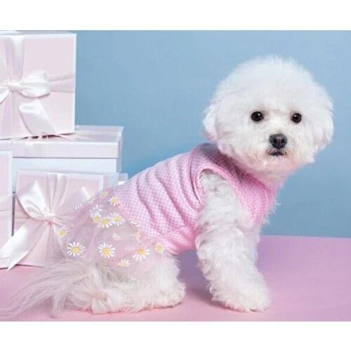 Dog Dress 2021 Summer New Pet Skirt Puppy Vest Skirt Dog Skirt Princess Net Yarn Skirt Teddy Dog Clothes Pet Clothes