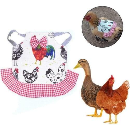2019 Cute Chicken Saddle Apron Hen Jacket Back Feather Protection Backyard Poultry