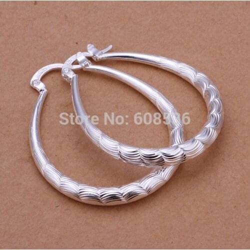 Free Shipping Wholesale fashion jewelry Earring S925 Sterling Silver color JewelryEarrings . QE295