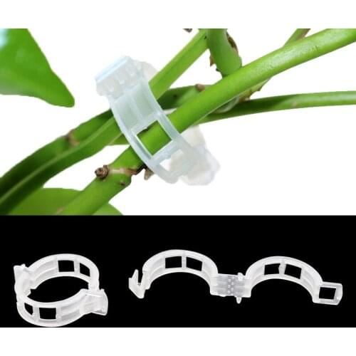 Greenhouse Plant Fixing Clips Garden Plants Flowers Tied Bundle Branch Clip Clamping Tools Garden Supplies Plant Clips 50 Pcs