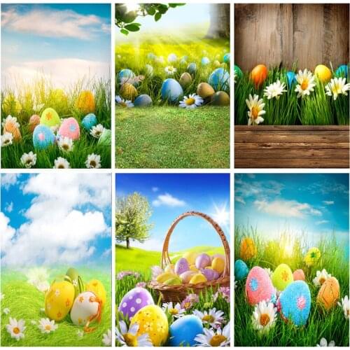 Easter Eggs Photography Backdrops For Photo Studio Props Spring Flowers Meadow Child Baby Portrait Photo Backdrops 1911 CXZM-10