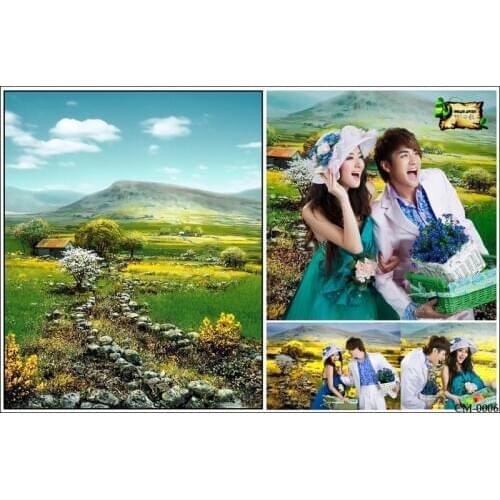 Vingtage Photography Backdrops Spring Views Background for Photo Studio Long Stone Road with Mountain Wedding Photo Backdrops