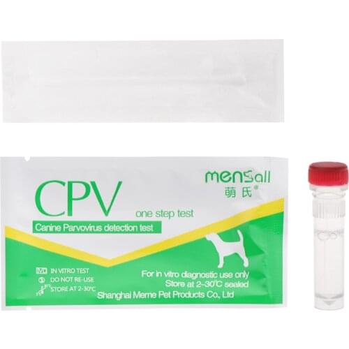 Dog Accessories Fadish China