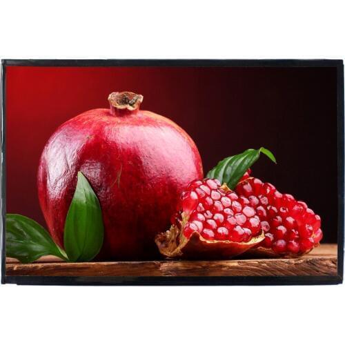 10.1" VVX10T014M00 2560x1600 IPS LCD Screen 10.1inch LCD Panel