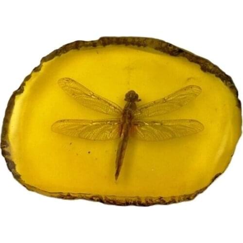 Chinese Collectible Rare Amber Inner Inlay Scorpion True Insect Specimens Animal Statue Small Gift