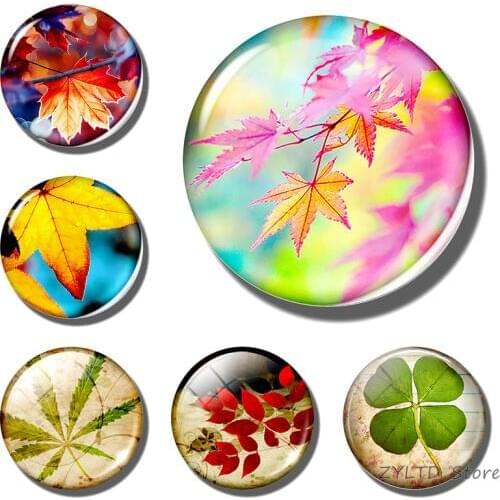 Maple leaf Colorful leaf natural Autumn leaves fridge magnet refrigerator magnets 30MM Glass cabochon stickers home decoration