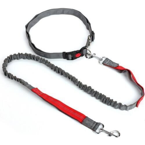 Night Reflective Elastic Nylon Breakaway Dog Leashes Running Hand Free Waist Belt Jogging Leads Retractable Leash For Pet Dogs