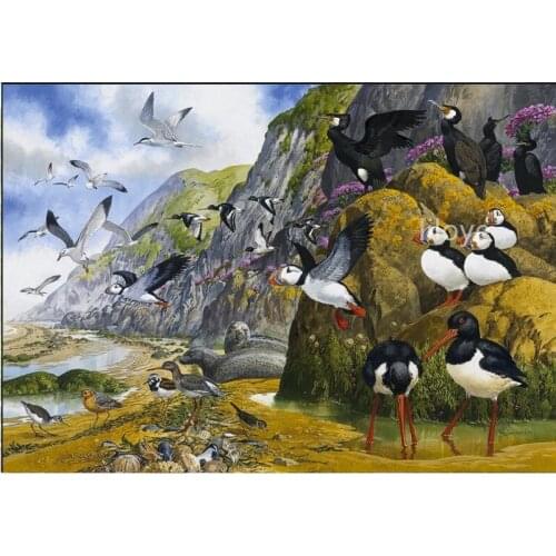 Full square DIY 5D Diamond Painting Puffin 3D Full Square Diamond Embroidery Sale Patterns Rhinestones Mosaic Home Decor FG2061