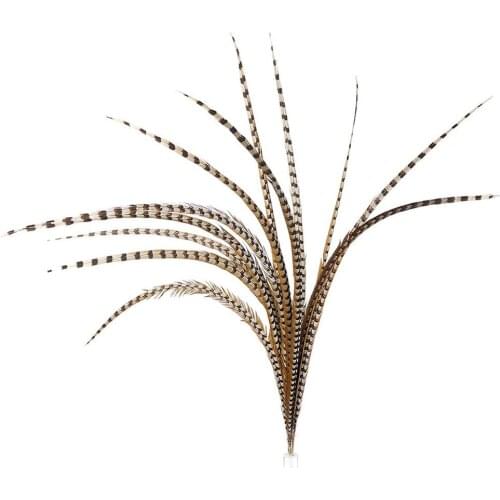 Natural Rare Pheasant Tail Feathers for Crafts 4-72inch Reeves Venery Pheasant Tail Feather Carnival Costumes Decoration Plumas