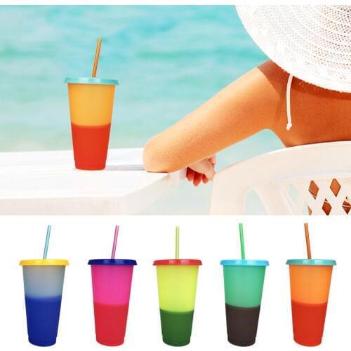 5pcs Plastic Reusable Color Changing Cup with Straw Lids Brush Ice Coffee Cup Mugs Water Bottle Set Party Travel Xmas Gift 700ml