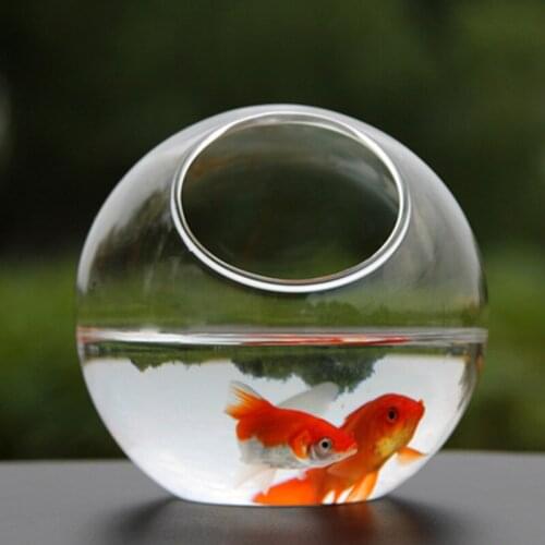 Free Shipping Diameter=20cm Super Big Size Side Open Glass Terrarium Vase Home Decoration Creative Aquarium Fishbowl Friend Gift