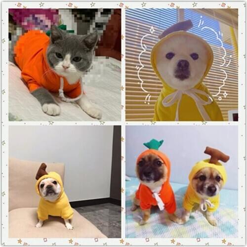 Summer Thin Pet Clothes Teddy Bichon Hiromi VIP Schnauzer Kitty Dog Clothes Fruit Sweater Pet Cat Wool Dog Cool Hoodie