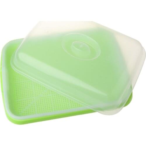 Seed Sprouter Tray BPA Free PP Soil-Free Large Capacity Healthy Wheatgrass Grower with Cover Seedling Sprout Plate Hydroponic