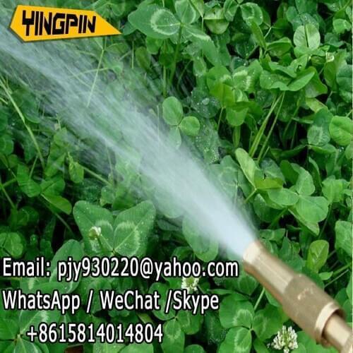 Garden high pressure direct injection micro spray adjustable spray gun water gun car cleaning nozzle