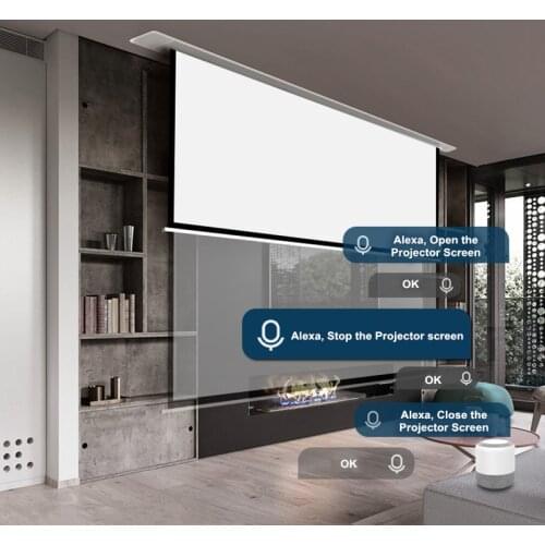 PLUTUSSA Evanesce Series Above Ceiling Installation Access E Motorized Projector Screen, PTEC-T7