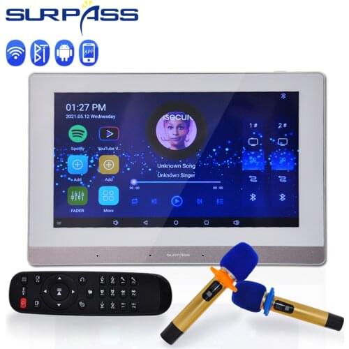 Digital WiFi Bluetooth Stereo Wall Amplifier Android Radio Handheld Wireless Microphone Professional Home Audio System Karaoke