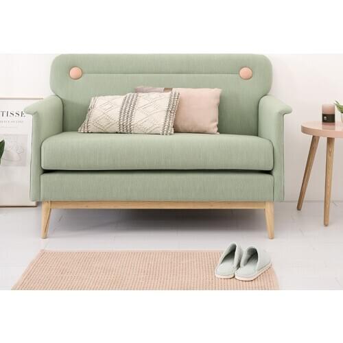 Karois-A15 Nordic Fabric Sofa Double Small Apartment Simple Modern Bed And Breakfast Sofa Cartoon