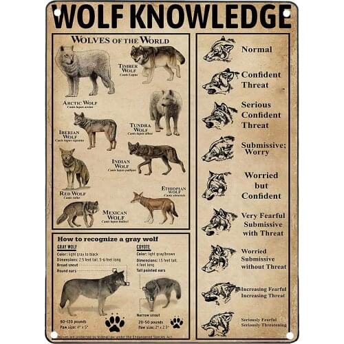Vintage Tin Sign Decor Wolf Type Knowledge Man Cave Signs And Decor
