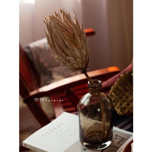 1pcs South Africa Imported Floral Japanese-Style Artistic Dried Flower Bodhi Princess Flower Ins Nordic Style Home