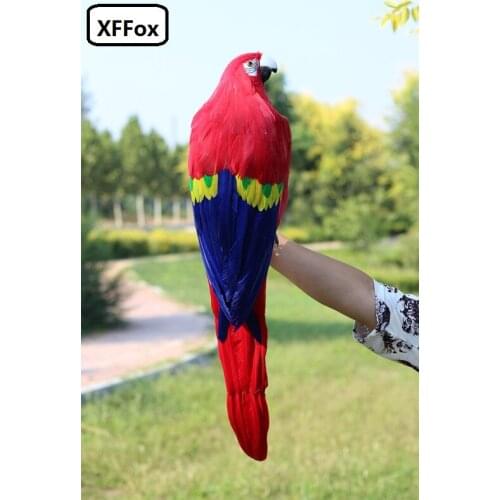 Big real life red parrot model foam&feather turned parrot bird gift about 60cm xf2625
