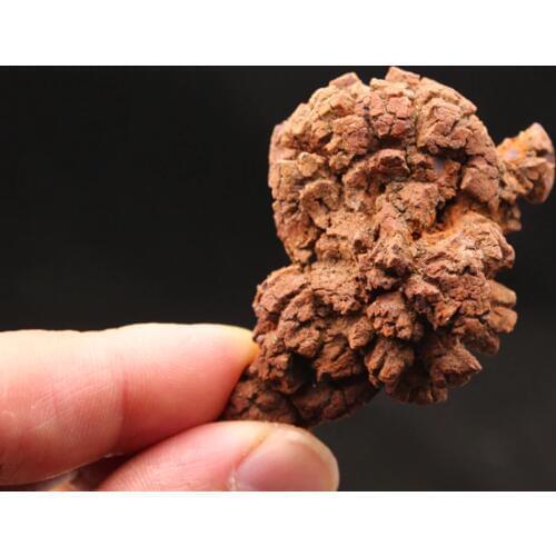 100g Natural Dinosaur dejecta fossil rough feces fossil specimen