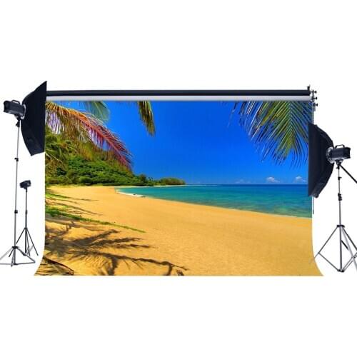 Seaside Sand Beach Backdrop Coconut Palm Blue Sky White Cloud Nature Romantic Summer Background Lover Wedding