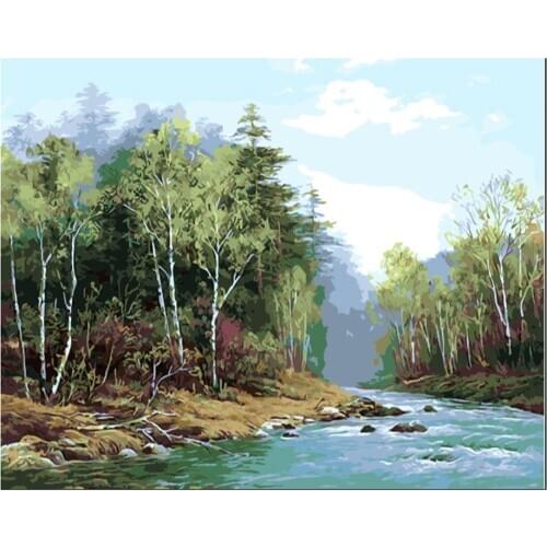 Paint by Numbers Kits for Adults DIY 40CM*50CM ALI_V1_1124