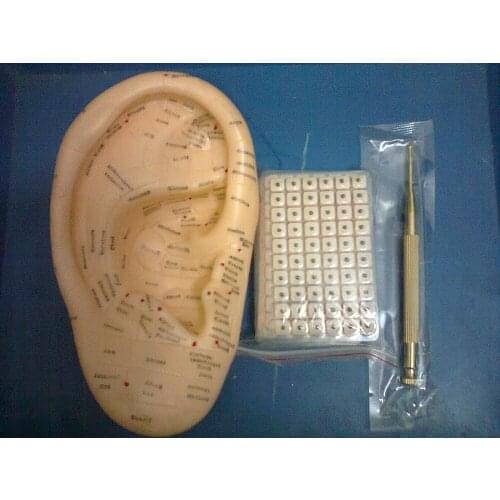 Chinese medical therapy acupuncture relieving point pen 17cm model ear seed stickers 600pcs auricular ear needles acupoint