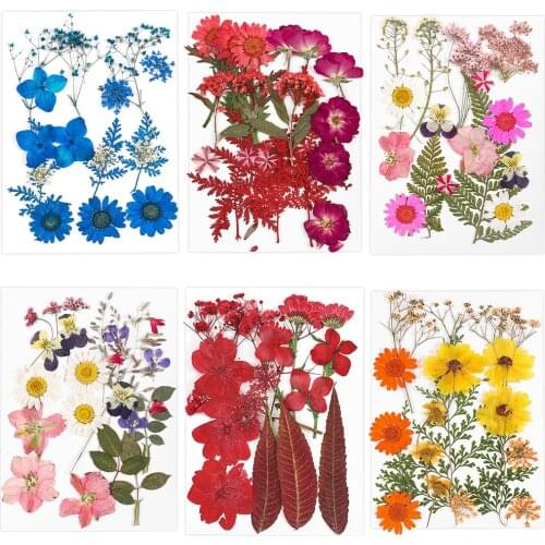 Pressed Real Flowers For Candle Nail Art Decals Small Dried Flowers Scrapbooking Dry Flower Decoration Home Resin Mold Fillings
