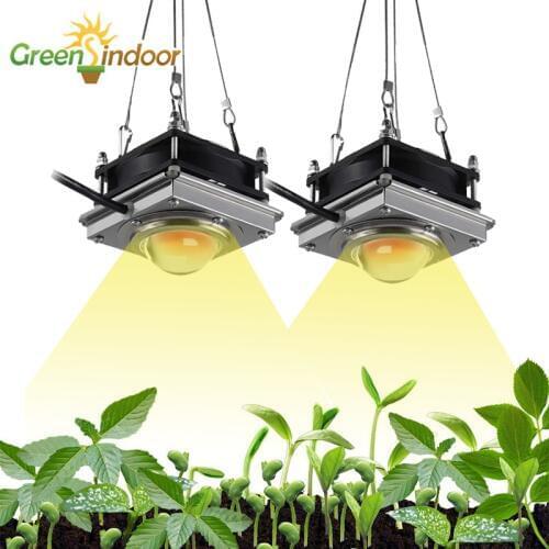 2pcs Grow Light COB 1000W Full Spectrum Phyto Lamp Warm Light Led For Plant Indoor Herbs Flowers Growth And Flowering Grow Tent