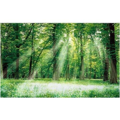 Custom photo wallpaper 3d murals sitting room landscape Fresh sunny birds, flowers and plants, green wood background wall papers