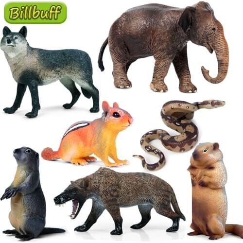 Big Size Simulation Wild Animal Panda Wolf Elephant Model Action Figures Collection Miniature Cognition Educational Toy for Kids