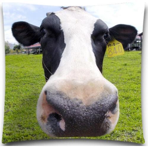 Cow horse cat Square 45*45 cm pillow case creative office Wedding bedding couch Vintage home decorative