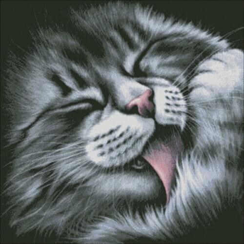 Top Quality Beautiful Lovely Cute Counted Cross Stitch Kit Black Kitty Cat Kitten Licking Fur, Lick Fur Feet