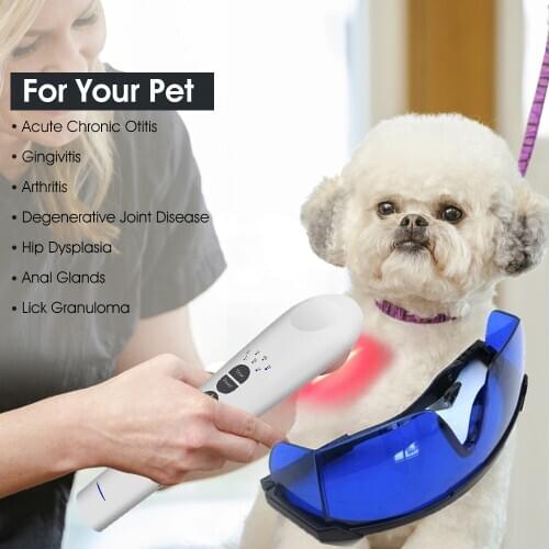 Like B-cure Laser Vet Device for Pets: Home Laser Therapy, Accelerate Healing and Reduce Pain and Inflammation in Dogs, Cats