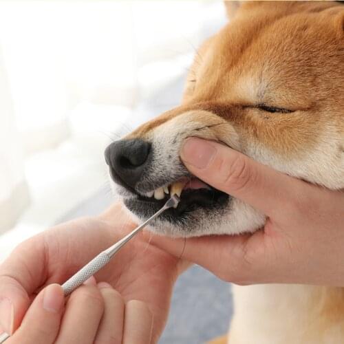 Double Sided Pets Teeth Cleaning Tools Dogs Cats Tartar Remover Dental Stones Scraper