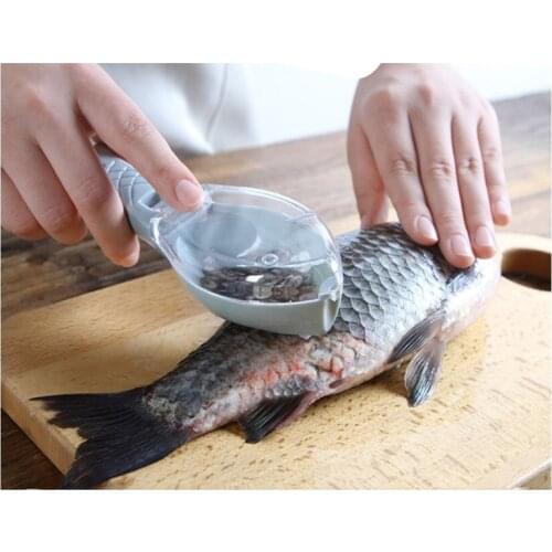 Kbxlife Instruments For Seafood
