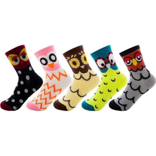 Ballet, Chinchilla, bar, eyes, cane, Cinderella, Tengu, Elise, little witch, Labrador Retriever, female socks ZQ-001