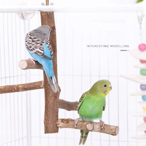 Natural Wild Prickly Pear Tree Stick For Myna Thrush Parrot Bird Standing Stick Bird Standing Stick Perching Stick