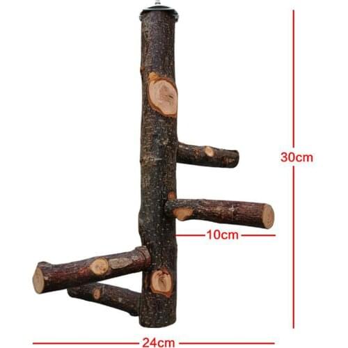 Bird Perch Natural Wood Stick Fork Branch Stand Rack Birdcage Hanging Rack