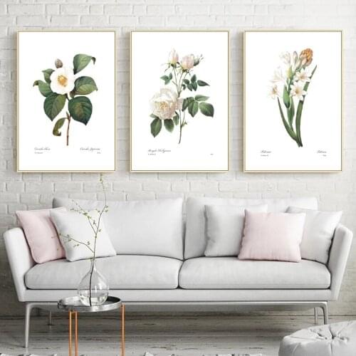 Minimalist White Flower Plants Posters and Prints Botanical Country Style Canvas Painting Pictures Home Wall Art Cuadros Decor
