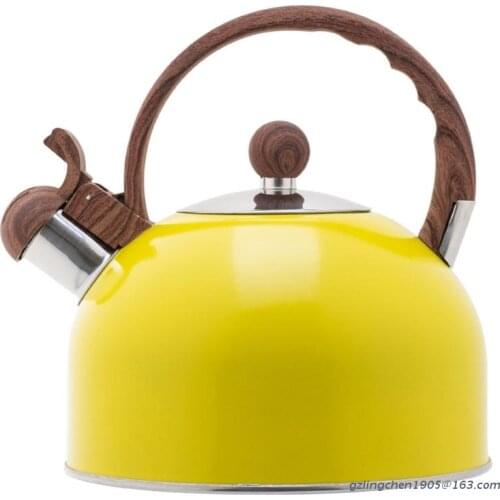 SFVEFVD Stainless Steel Kitchen Kettles