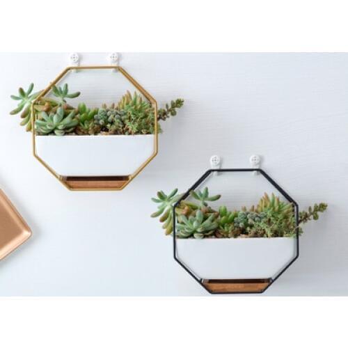 Nordic Minimalist Decorative Frame Geometric Wall Hanging Meaty Ceramic Pot